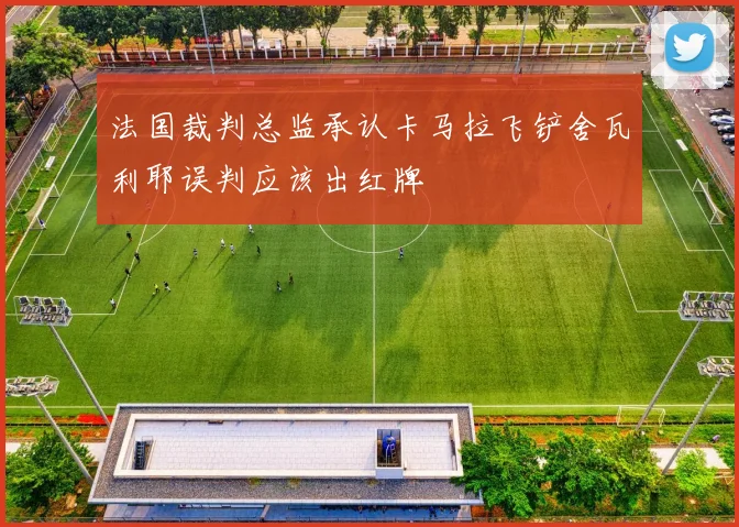法国裁判总监承认卡马拉飞铲舍瓦利耶误判应该出红牌